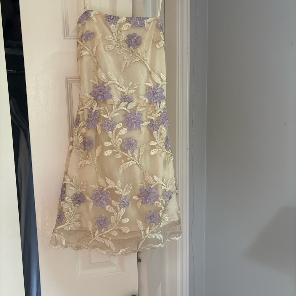 Lucy in the sky mini dress